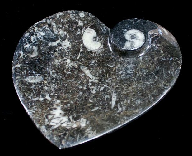 Heart Shaped Fossil Goniatite Dish #8879